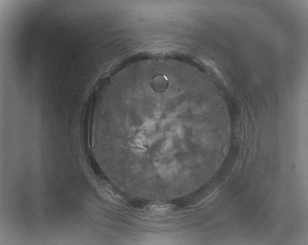 X0000075840495200609151308