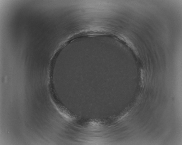 X0000075840496200609151308