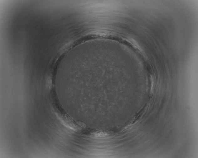 X0000075840500200609151308