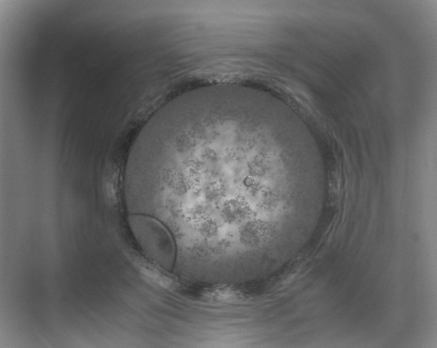 X0000075840503200609151308