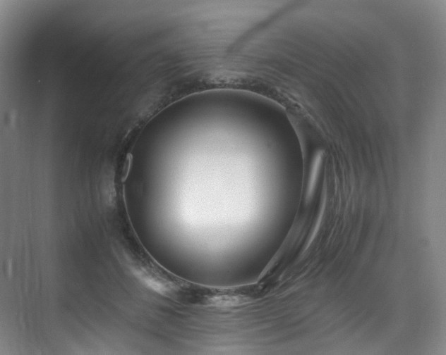 X0000075840508200609151308