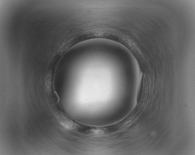 X0000075840509200609151308