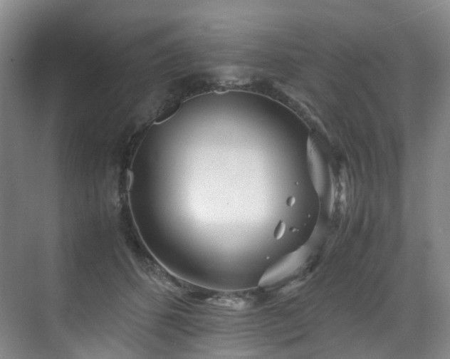 X0000075840512200609151308