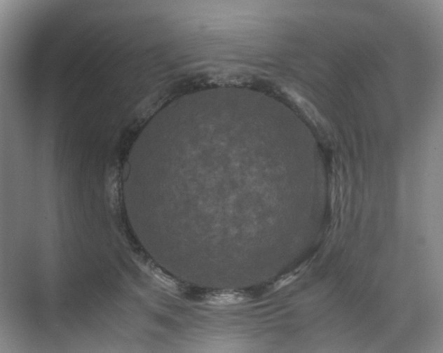 X0000075840513200609151308