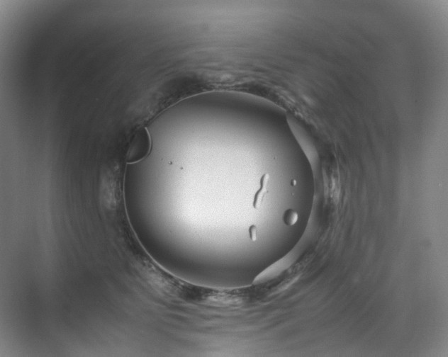 X0000075840515200609151308