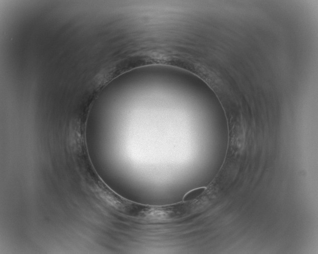 X0000075840518200609151308