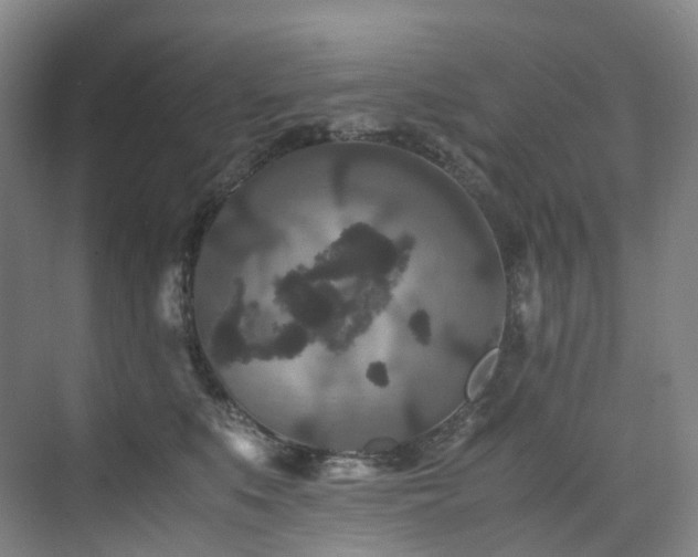 X0000075840519200609151308