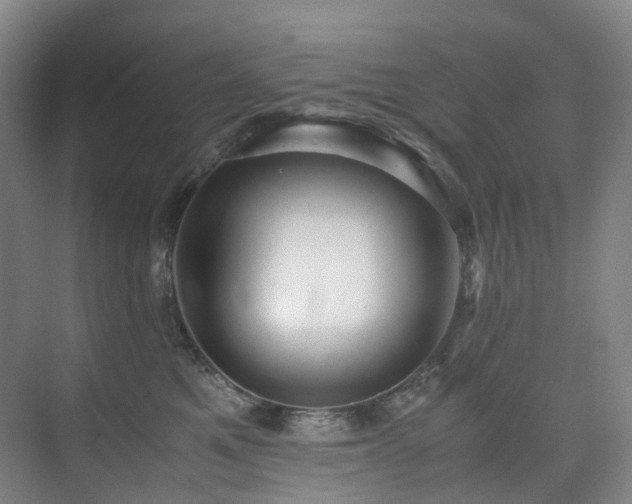 X0000075840521200609151308