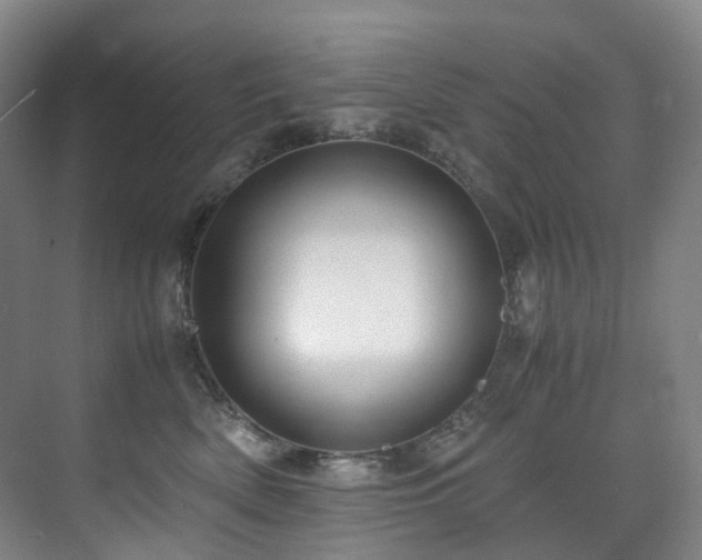 X0000075840522200609151308