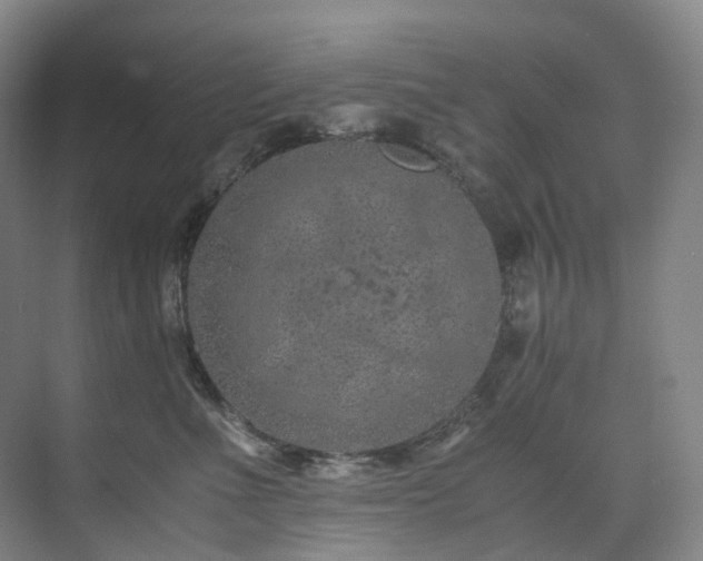 X0000075840523200609151308