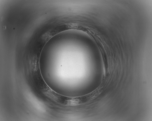 X0000075840525200609151308