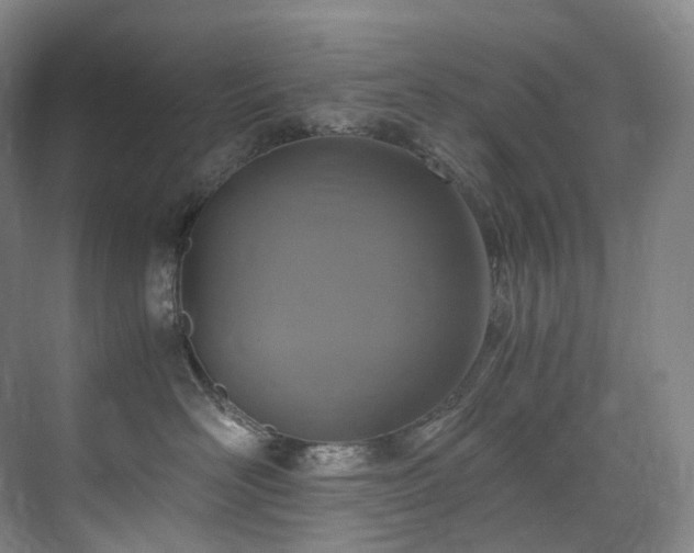 X0000075840526200609151308