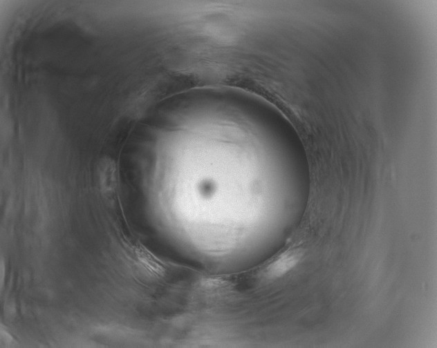 X0000075840528200609151307