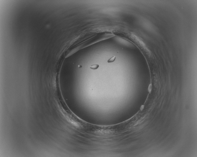 X0000075840537200609151307