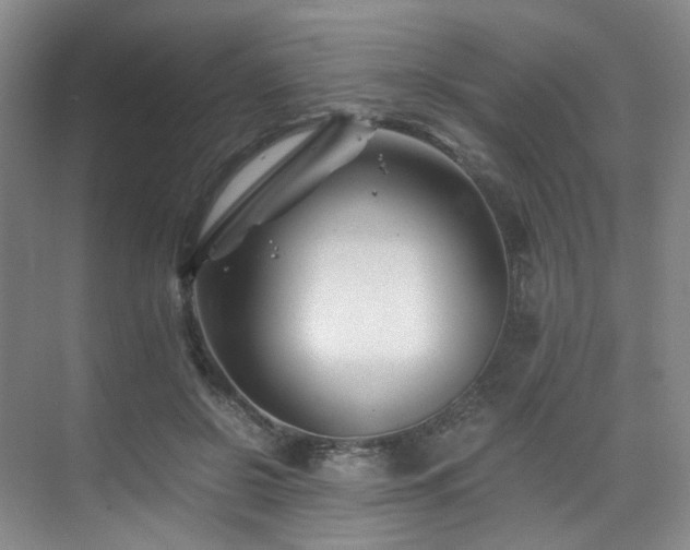 X0000075840550200609151307