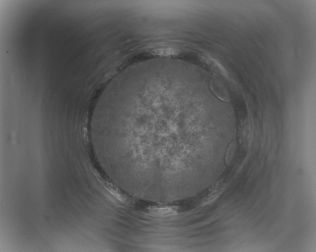 X0000075840553200609151307