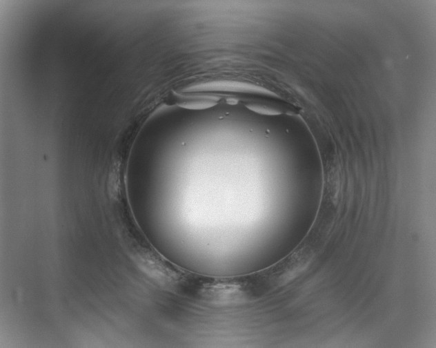 X0000075840554200609151307