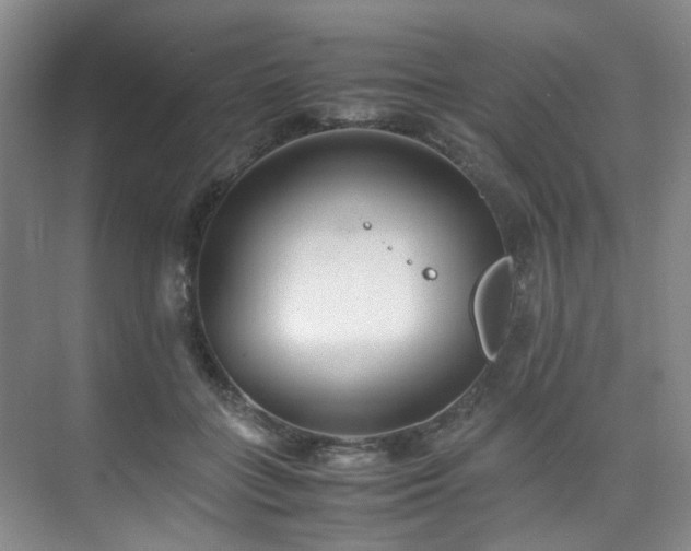 X0000075840555200609151307