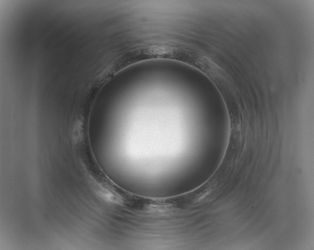 X0000075840556200609151307