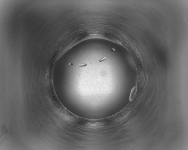 X0000075840557200609151307