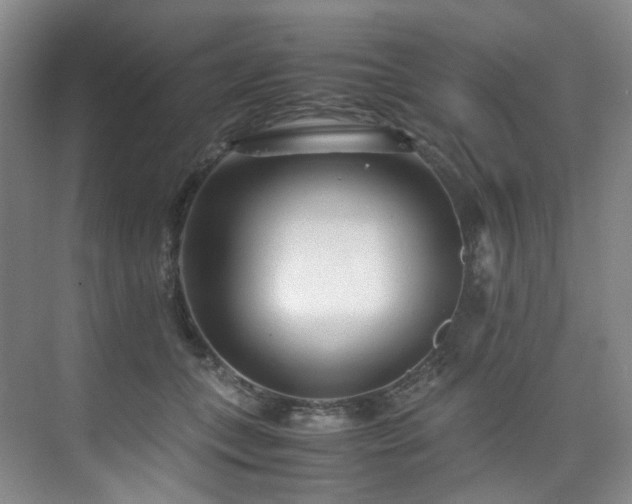 X0000075840559200609151307