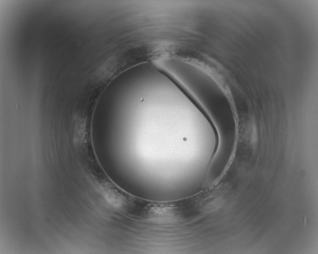 X0000075840560200609151307