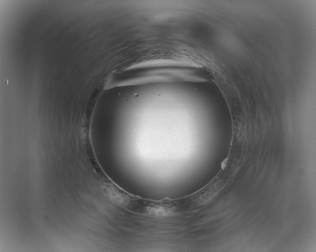 X0000075840561200609151307