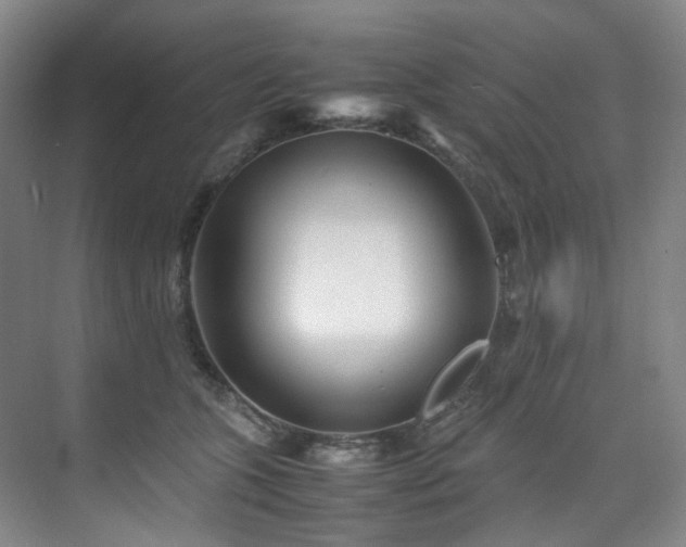 X0000075840563200609151307