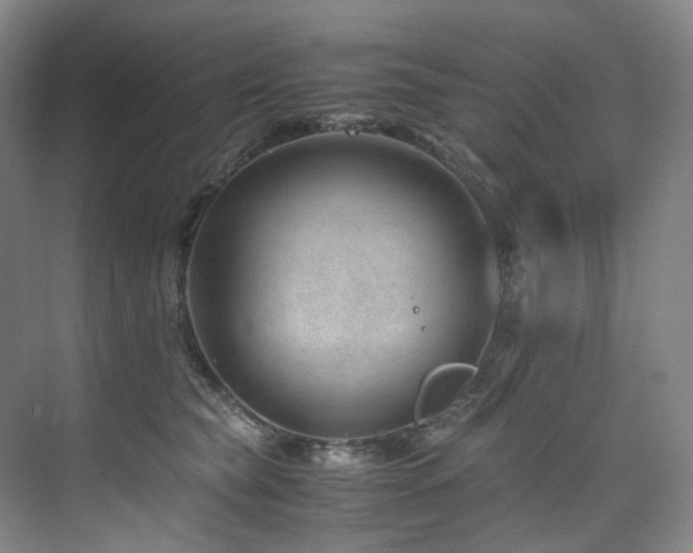 X0000075840565200609151307