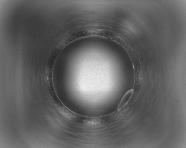 X0000075840567200609151307