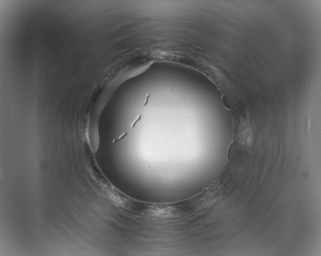 X0000075840569200609151307