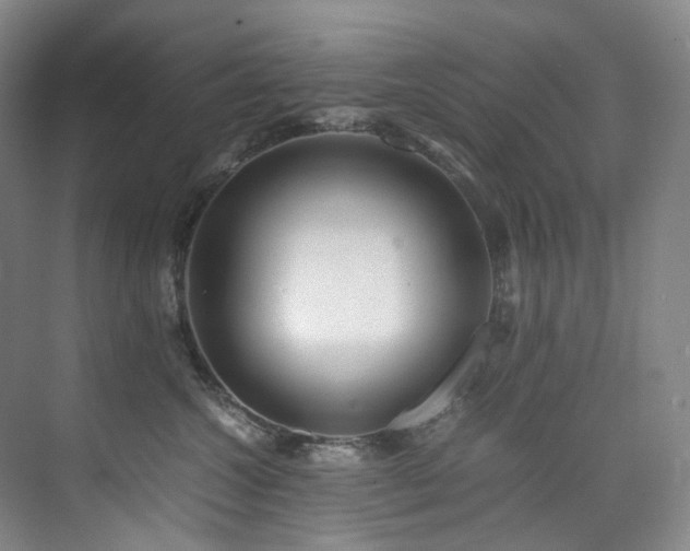 X0000075840572200609151307