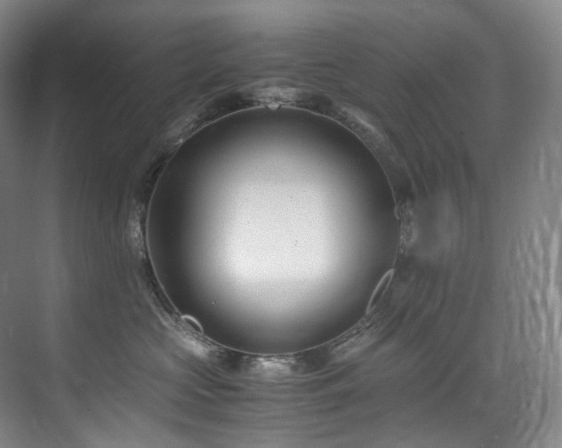 X0000075840573200609151307