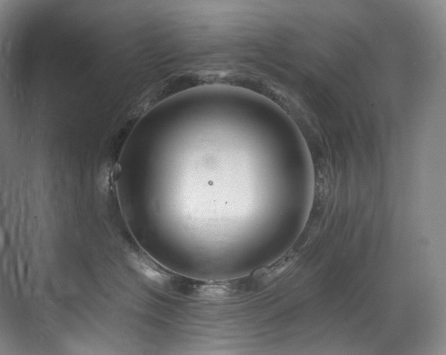 X0000075840574200609151307