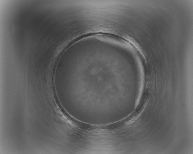 X0000075840577200609151307