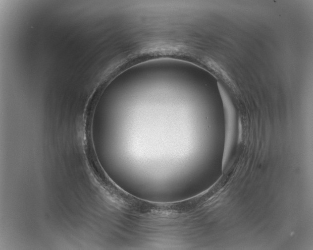 X0000075840582200609151307