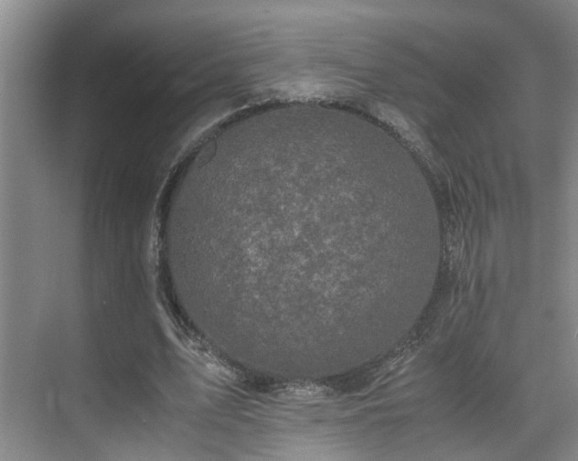 X0000075840583200609151307