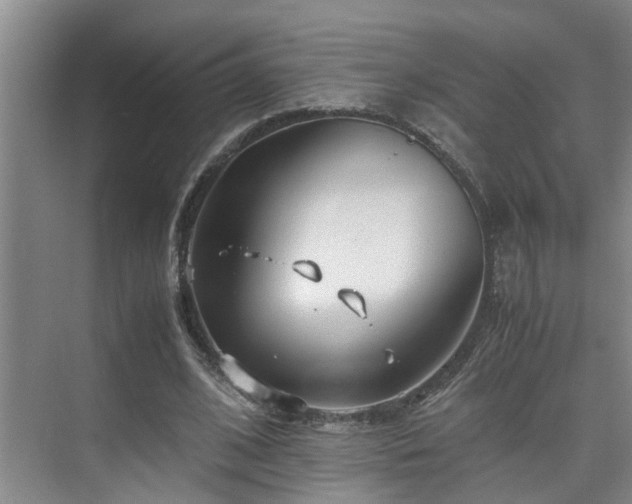 X0000075840584200609151307