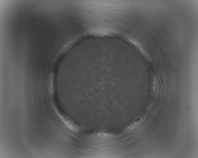 X0000075840590200609151306