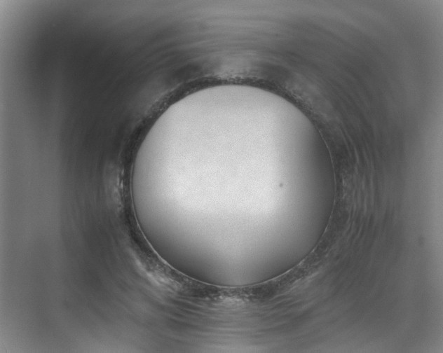 X0000075840592200609151306