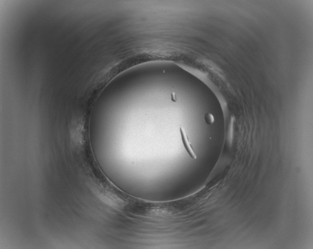 X0000075840596200609151306