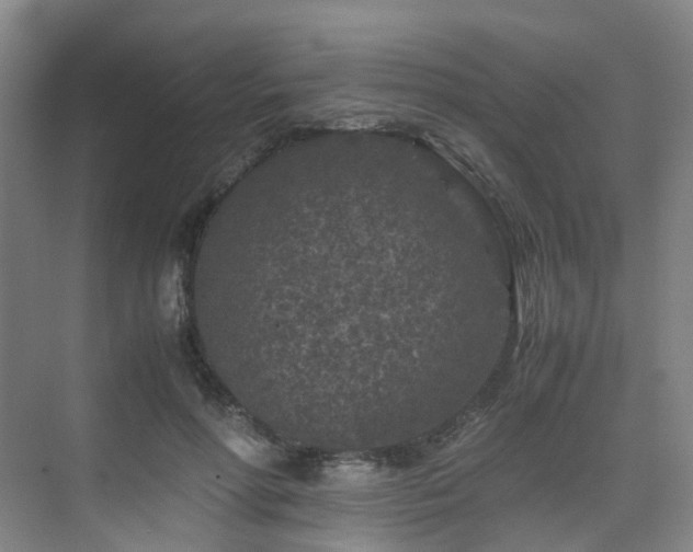 X0000075840598200609151306