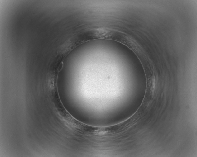 X0000075840602200609151306