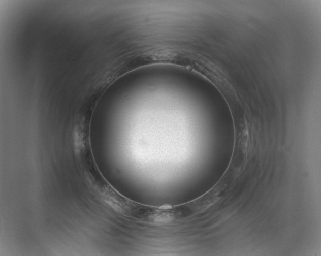 X0000075840604200609151306