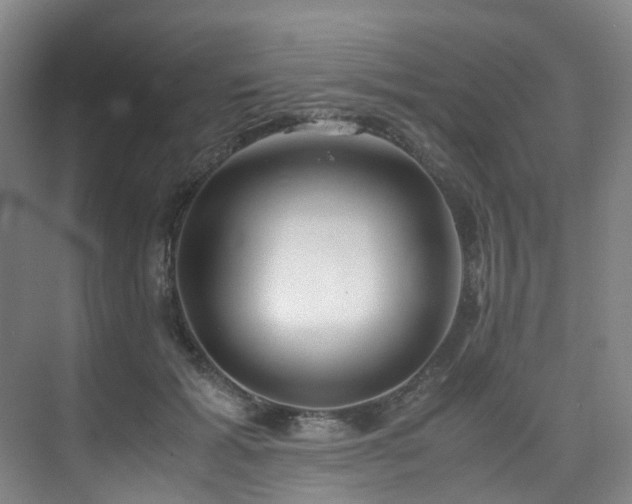 X0000075840605200609151306