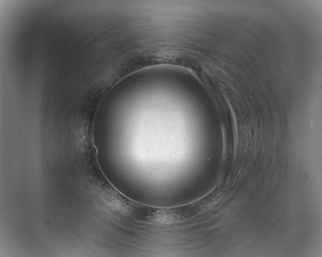 X0000075840608200609151306