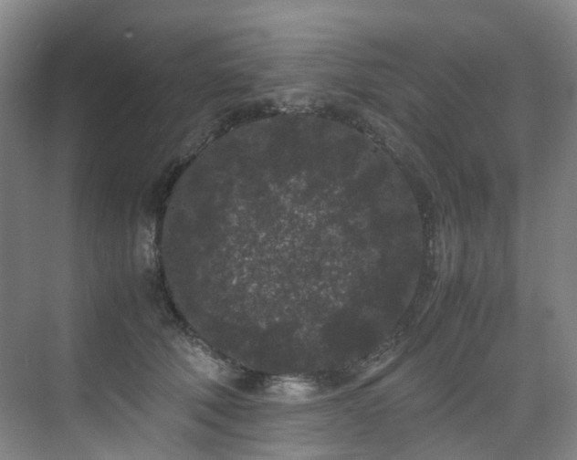 X0000075840610200609151306