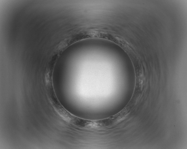 X0000075840611200609151306