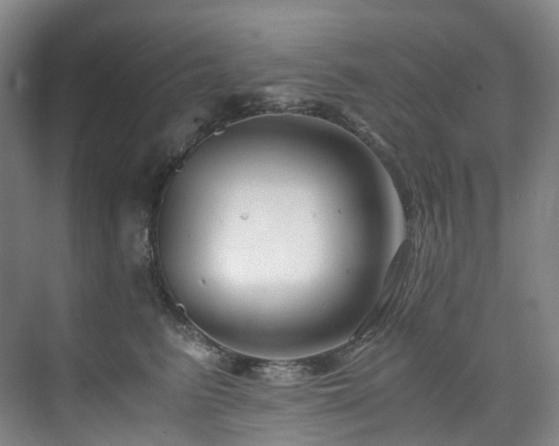 X0000075840615200609151306