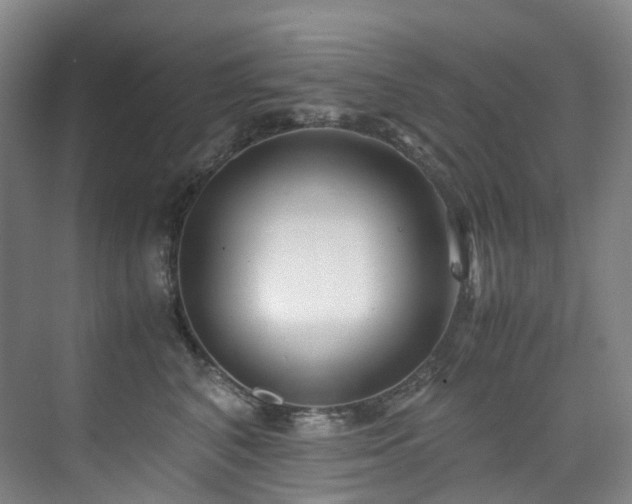 X0000075840616200609151306